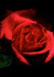 Romantic Sheet Music for Valentine's Day for Enjoy Romantic Music! by 